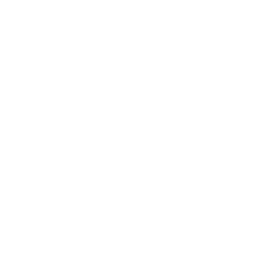 Smart Meters